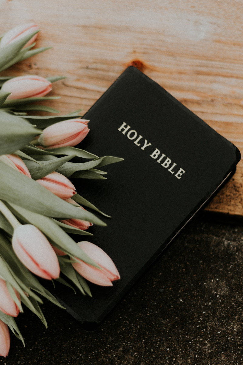 Bible and tulips