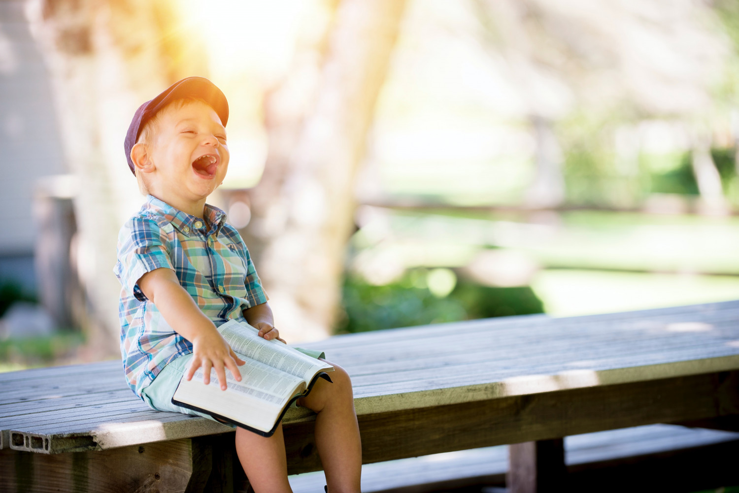 Little Boy with a Bible, laughing and sitting on a bench