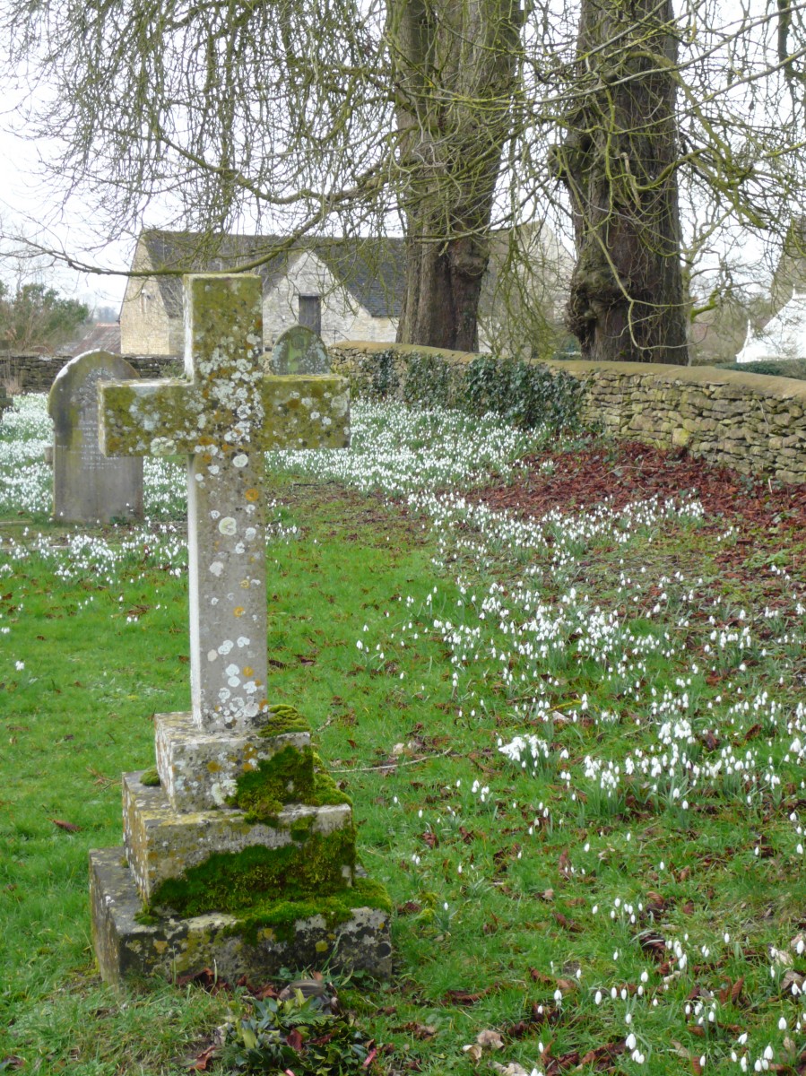Photo of grave in Somerford Keynes churchyard